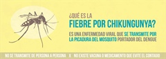 FIEBRE POR CHIKUNGUNYA